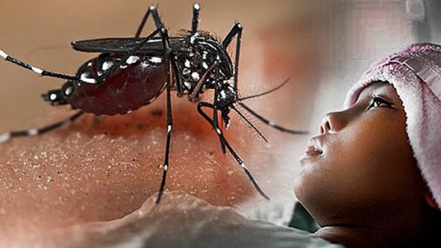 Varian Dengue 4 Meningkatkan Kasus DBD di Kota Tasikmalaya