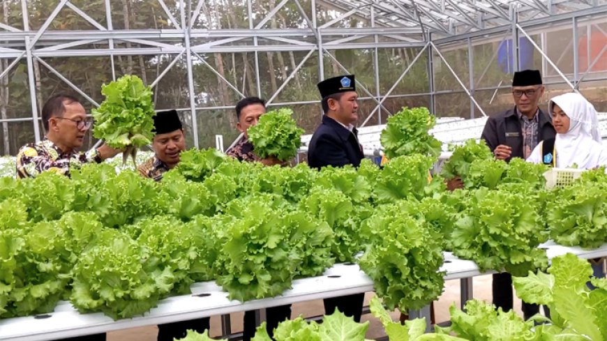 Green House SMK PK Nurussalam Salopa, Inovasi Pertanian dari Daerah Terpencil