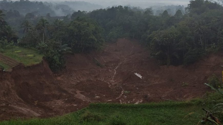 Longsor Besar di Desa Jayapura, Krisis Tanah dan Perjuangan Pemiliknya