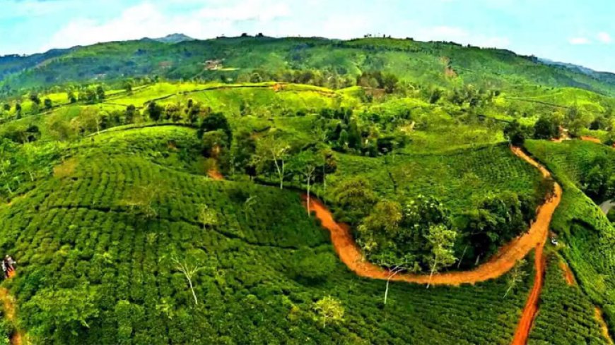 Cuaca Tasikmalaya Hari Ini, Cerah Berawan, Siang Berpotensi Hujan Lokal