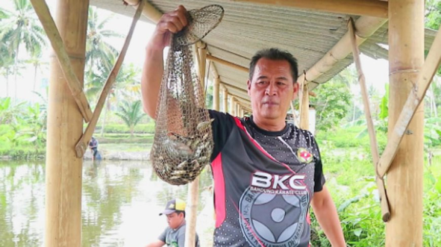 Janur Mancing Mania, Meriahkan HUT ke-79 RI dan Dukung Bupati Tasikmalaya