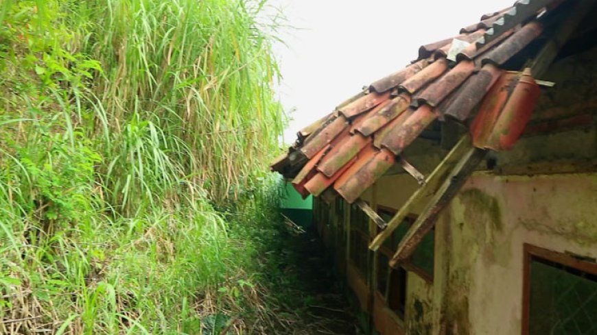 SDN Sukamahi 2 Terancam Longsor, Guru dan Siswa Khawatir