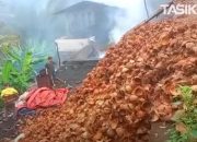 Inspiratif, Kades Cibeber Berdayakan Warganya di Pabrik Bahan Baku Arang Briket