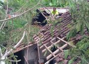Dua Rumah di Desa Kutawaringin Tertimpa Pohon Akibat Angin Kencang