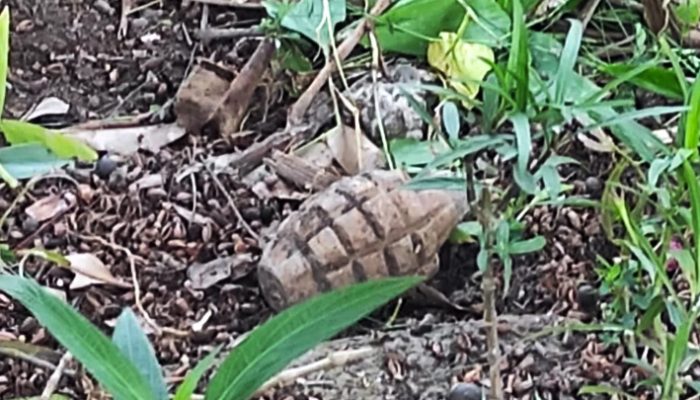 Granat Nanas Ditemukan di Jalan HZ Mustofa, Kota Tasikmalaya, Warga Terkejut