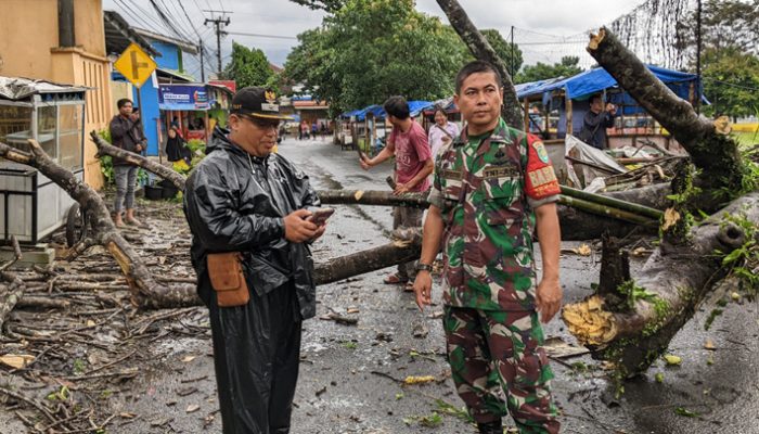 Pohon Tumbang di Jalan Cigeureung Kota Tasikmalaya, Babinsa dan Warga Gotong Royong Buka Jalan