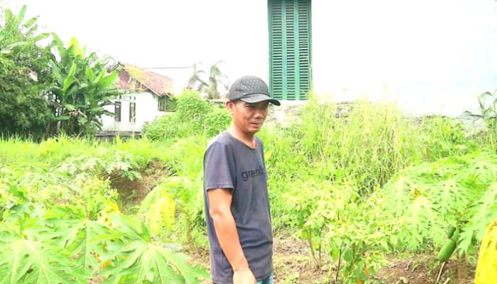 Pemanfaatan Lahan Tidur untuk Ketahanan Pangan, Inspirasi dari Kang Agus