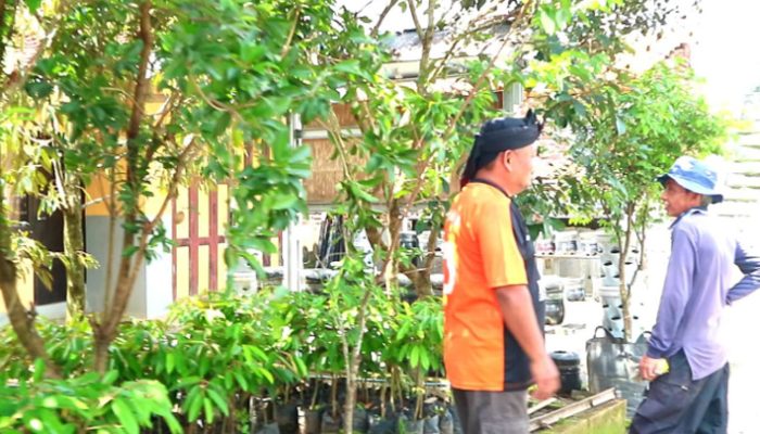 Kelompok Tani Tunas Harapan Inovasi Menanam Padi di Galon Bekas untuk Ketahanan Pangan Tasikmalaya