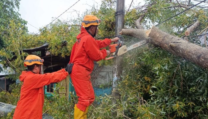 Cuaca Ekstrem Landa Tasikmalaya, Lima Kecamatan Terdampak