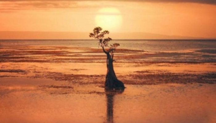 Senja dengan Dua Kematian, Tragedi Keluarga yang Mencerminkan Krisis Bangsa