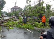 Angin Kencang dan Hujan Deras Terjang Tasikmalaya, BPBD Imbau Warga Tetap Waspada