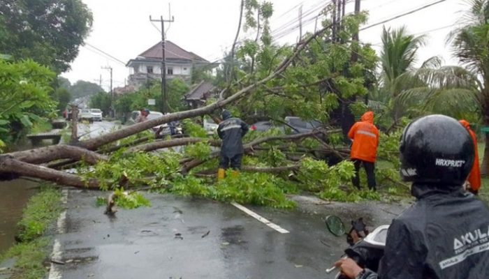 Angin Kencang dan Hujan Deras Terjang Tasikmalaya, BPBD Imbau Warga Tetap Waspada