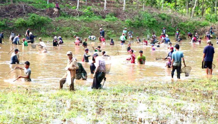Tradisi Gubyag Balong Kembali Meriahkan Desa Tanjungkerta, Warga Tangkap Ikan Sambil Syukuran