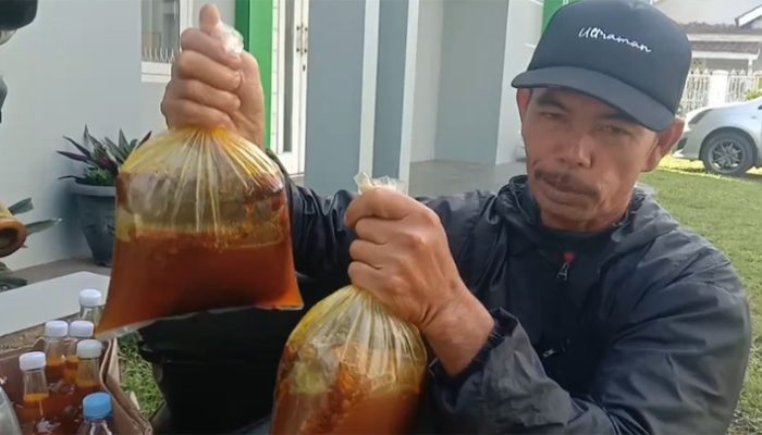 Jelajah Hutan Demi Madu Asli,  Eman Siap Pasok dalam Jumlah Besar, Dijamin Murni!