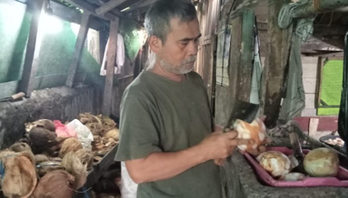 Harga Kelapa di Pasar Singaparna Masih Tinggi, Pedagang Gelisah Pasokan Menipis