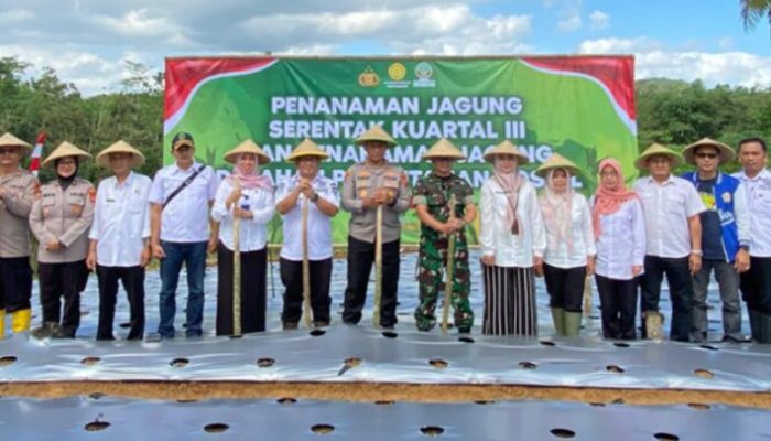 Dukung Swasembada Pangan, Perhutani Tasikmalaya Tanam Jagung Bersama