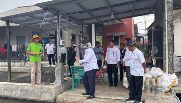 Pemkot Tasikmalaya Integrasikan Subsidi Lele dengan Ketahanan Pangan