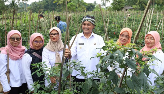 Dukung Petani Milenial, Wawalkot Tasikmalaya Apresiasi KWT di Bungursari