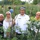 Dukung Petani Milenial, Wawalkot Tasikmalaya Apresiasi KWT di Bungursari