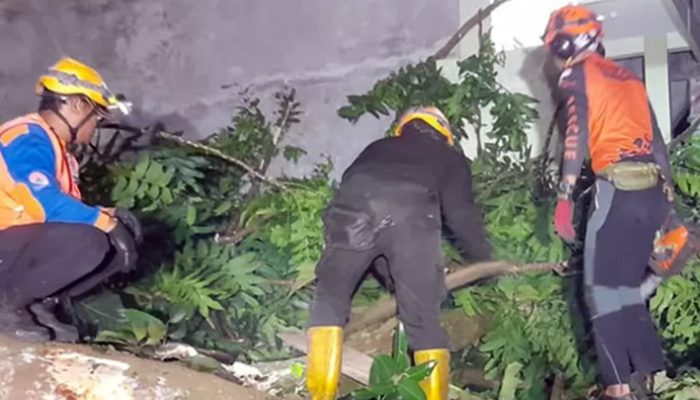 Pohon Tua Tumbang di Cihideung Tasikmalaya, Warung Warga Rusak