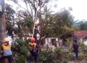 PLN ULP Majenang Gelar Kolaborasi Keandalan Rabas Rabas Penebangan Pohon