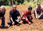 Pemdes Papayan Terima 2.250 Bibit Singkong Program Ketahanan Pangan PNM