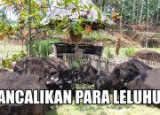 Desa Pakalongan Menuju Desa Wisata Religi dan Budaya Jejak Luluhur