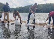 HUT Bhayangkara ke-78, Polsek Tanjungjaya Dorong Kelestarian Lingkungan Lewat Penaburan Benih Ikan