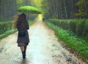 Tetap Bugar Saat Gerimis: Olahraga Pagi yang Menjaga Kesehatanmu