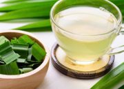 Rahasia Sehat dari Alam: Manfaat Luar Biasa Daun Pandan untuk Kesehatan