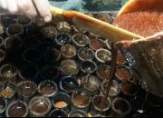Begini Rincian Retribusi Tera/Tera Ulang di Kota Tasikmalaya